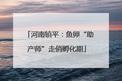 河南镇平：鱼卵“助产师”走俏孵化期